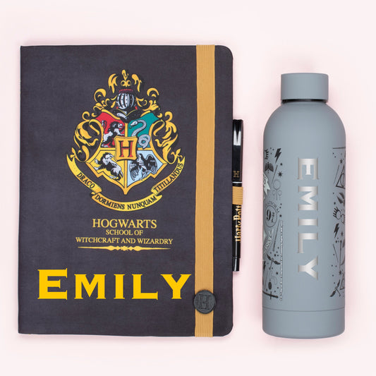 Harry Potter Gourde en acier inoxydable – gris