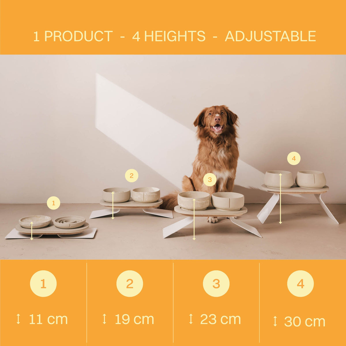 Set Perfect Posture per cani – vista prodotto 7
