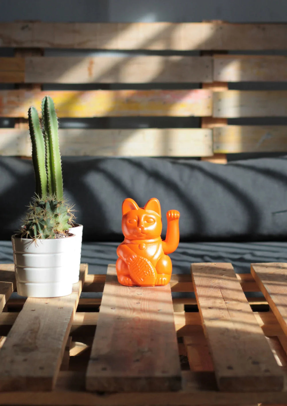 Chat Chanceux Orange