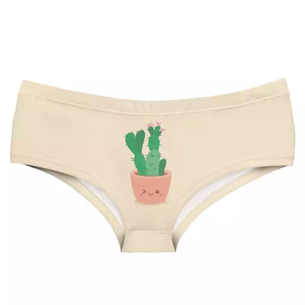 Cactusonderbroek in pot