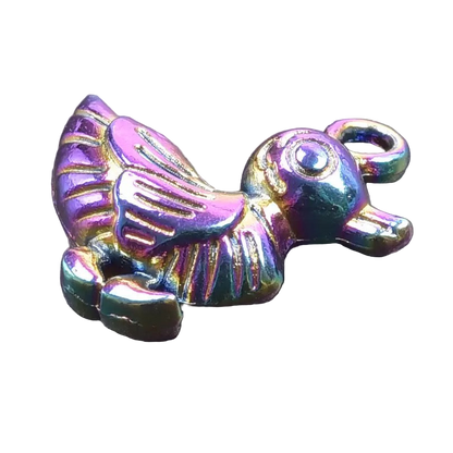 Rainbow Duck Charm