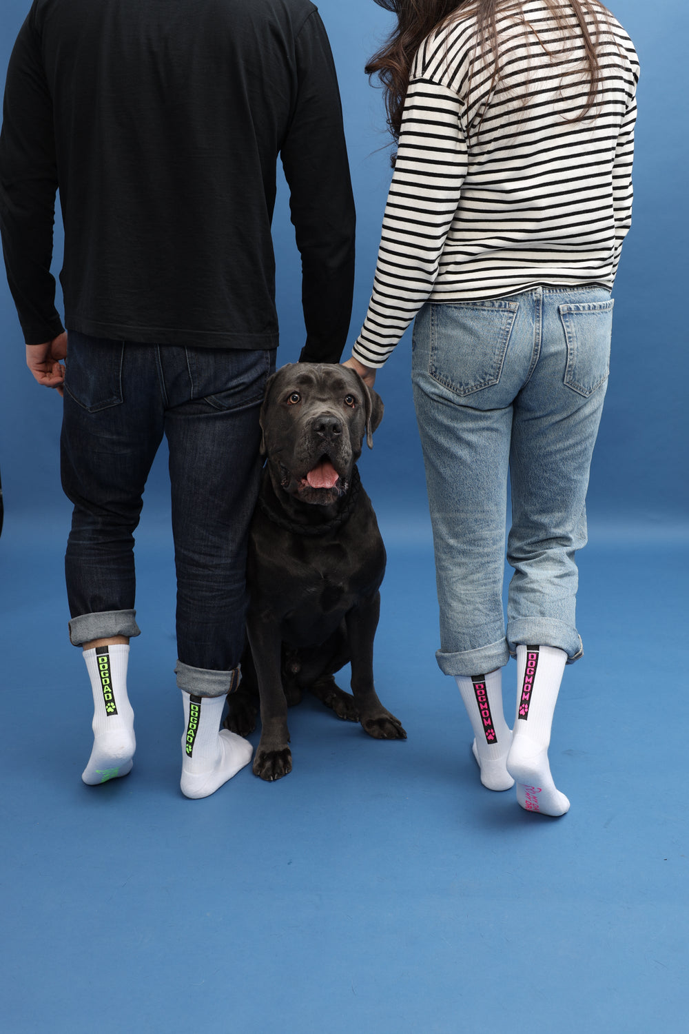 Chaussettes DOGDAD jaune néon