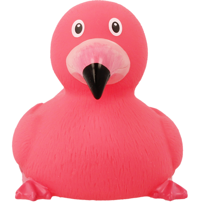 Pato flamente rosa