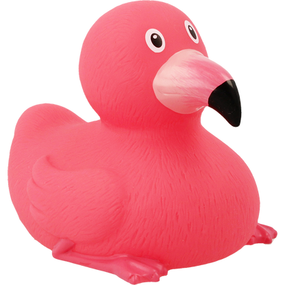 Pato flamente rosa