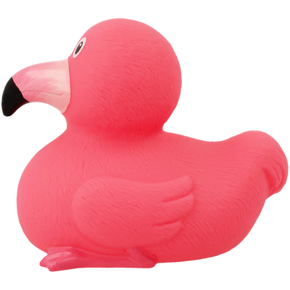 Pato flamente rosa