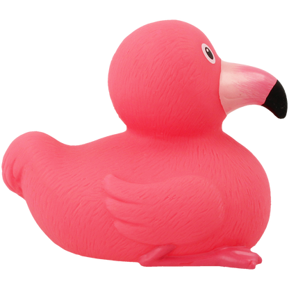 Pato flamente rosa