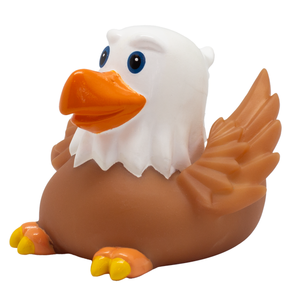 Aquila d'anatra