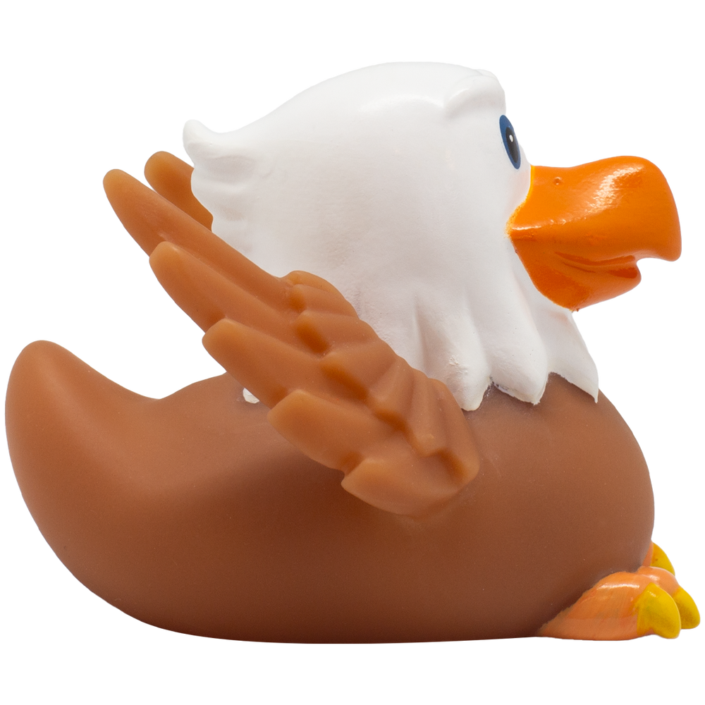 Pato águila