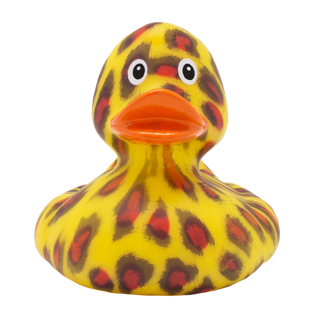 Wild Cat Duck