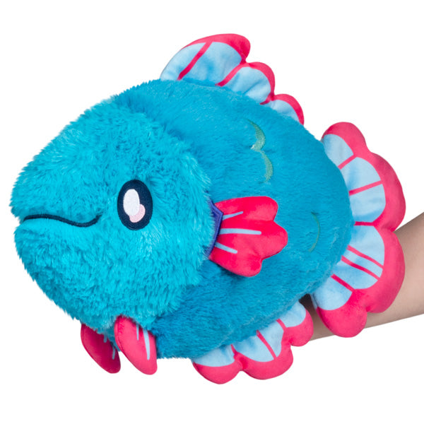 Poisson combattant
