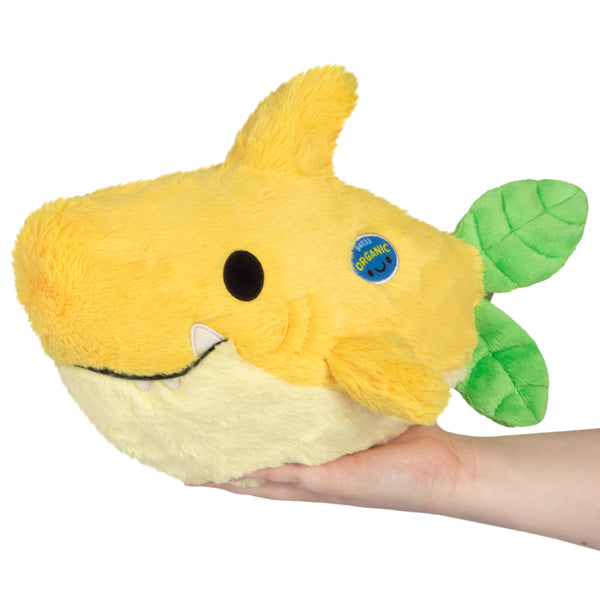 Requin citron