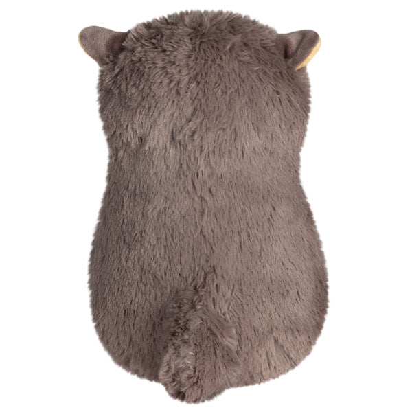Loutre naine d'Asie