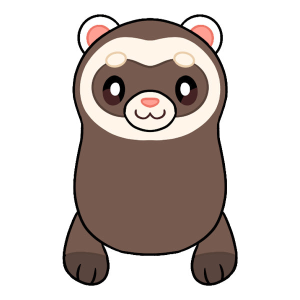 Furetto