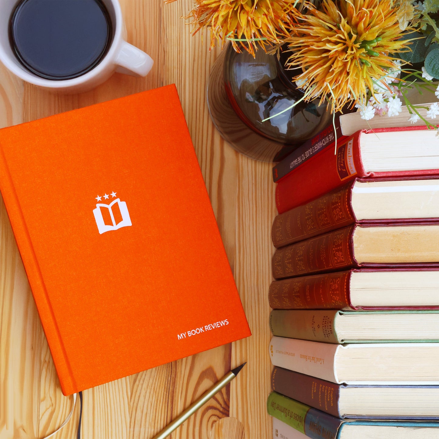 My Book Reviews