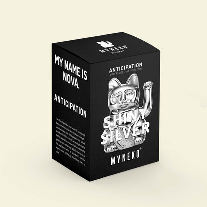 Chat Chanceux Argent Brillant “Nova”