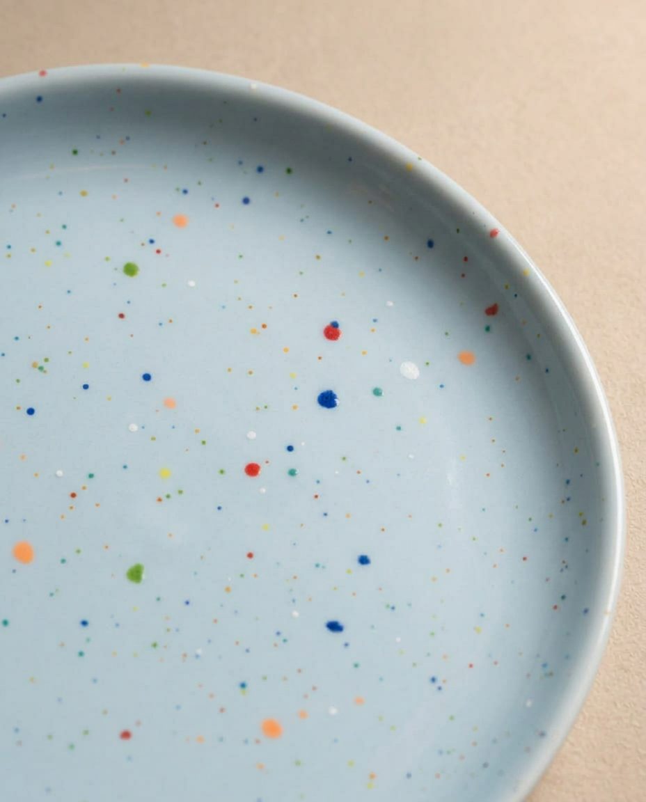 New Party Dinner Plate 27cm