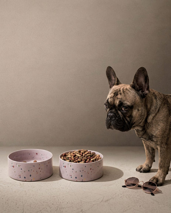 New Party Pet Bowl 16,5cm Set 2 Lilac