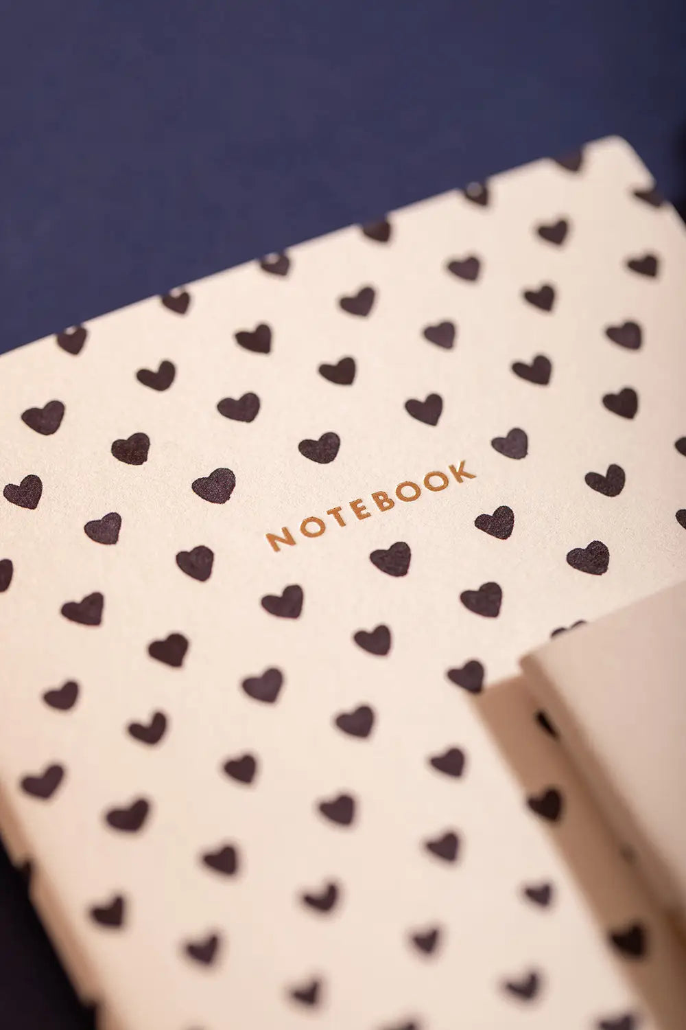 Dalmatian - Pocket Notebook A6 DUO