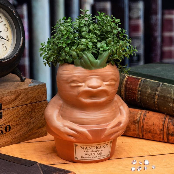Vaso di mandragola