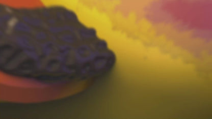 Canards Rocky (First Edition)