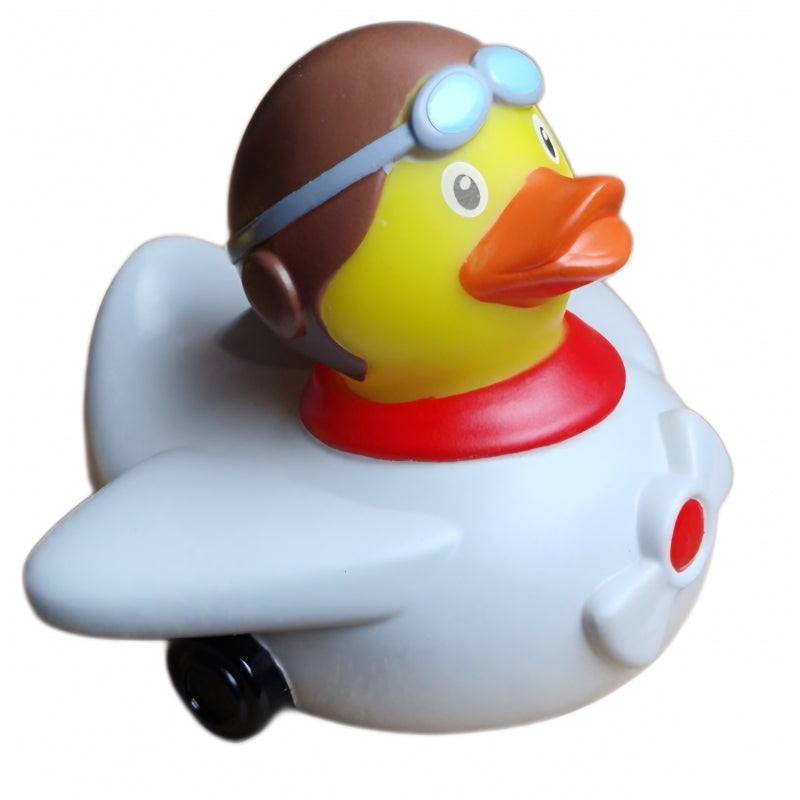 Canard Aviateur
