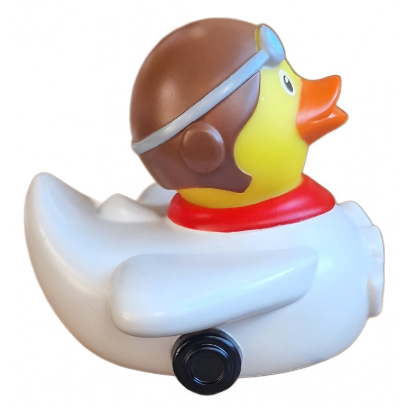 Canard Aviateur