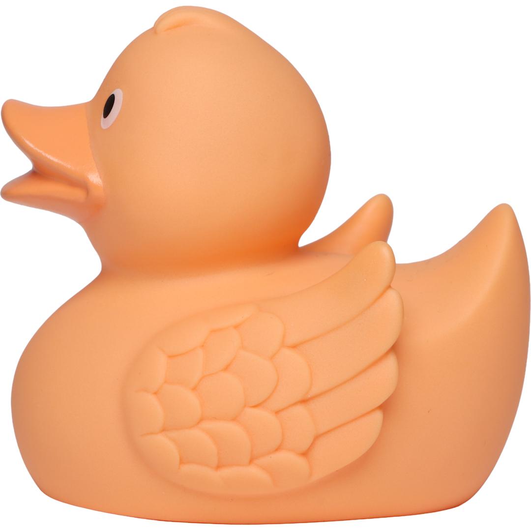 Canard Pastel avec ailes