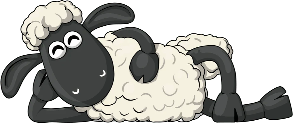 Shaun 