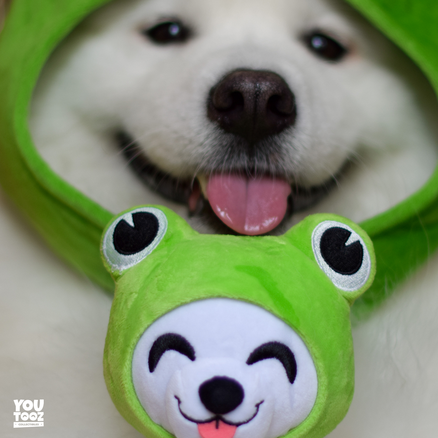 Shiro Froggy Plush (6in)