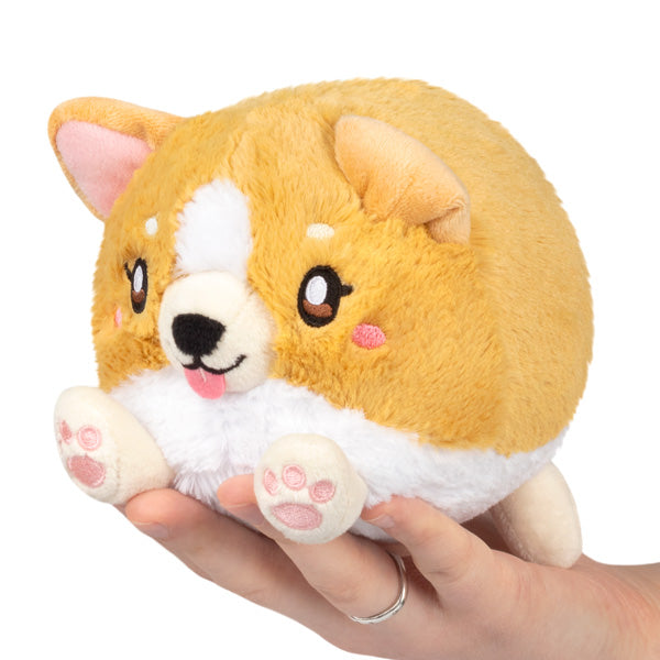 Peluche Snacker Squishable – Bébé Corgi S1E4