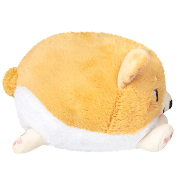 Peluche Snacker Squishable – Bébé Corgi S1E4