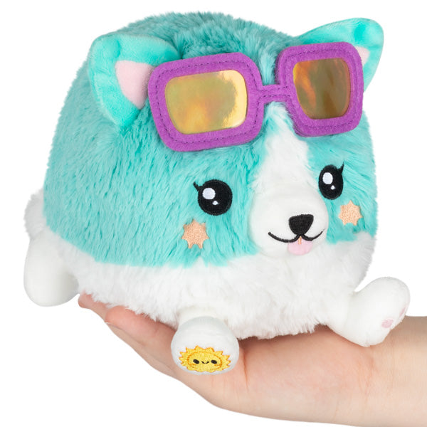 squish park snackers corgi main image