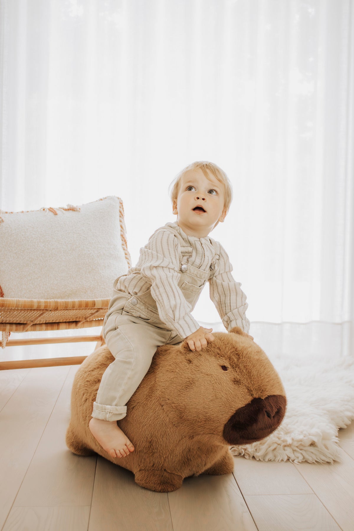 Capybara doux et rebondissant - Wild & Soft