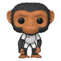Pop! Pogo Baby 