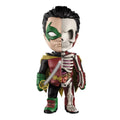 Rayos XX: Robin