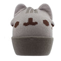 Gorro Pusheen, o Gato 