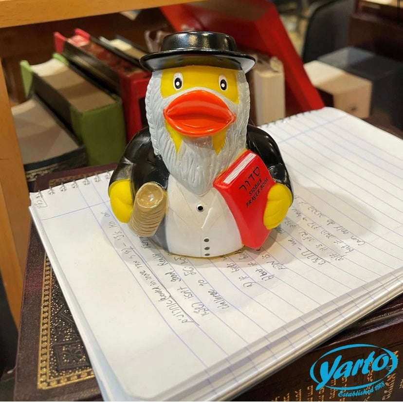 Rabino de pato