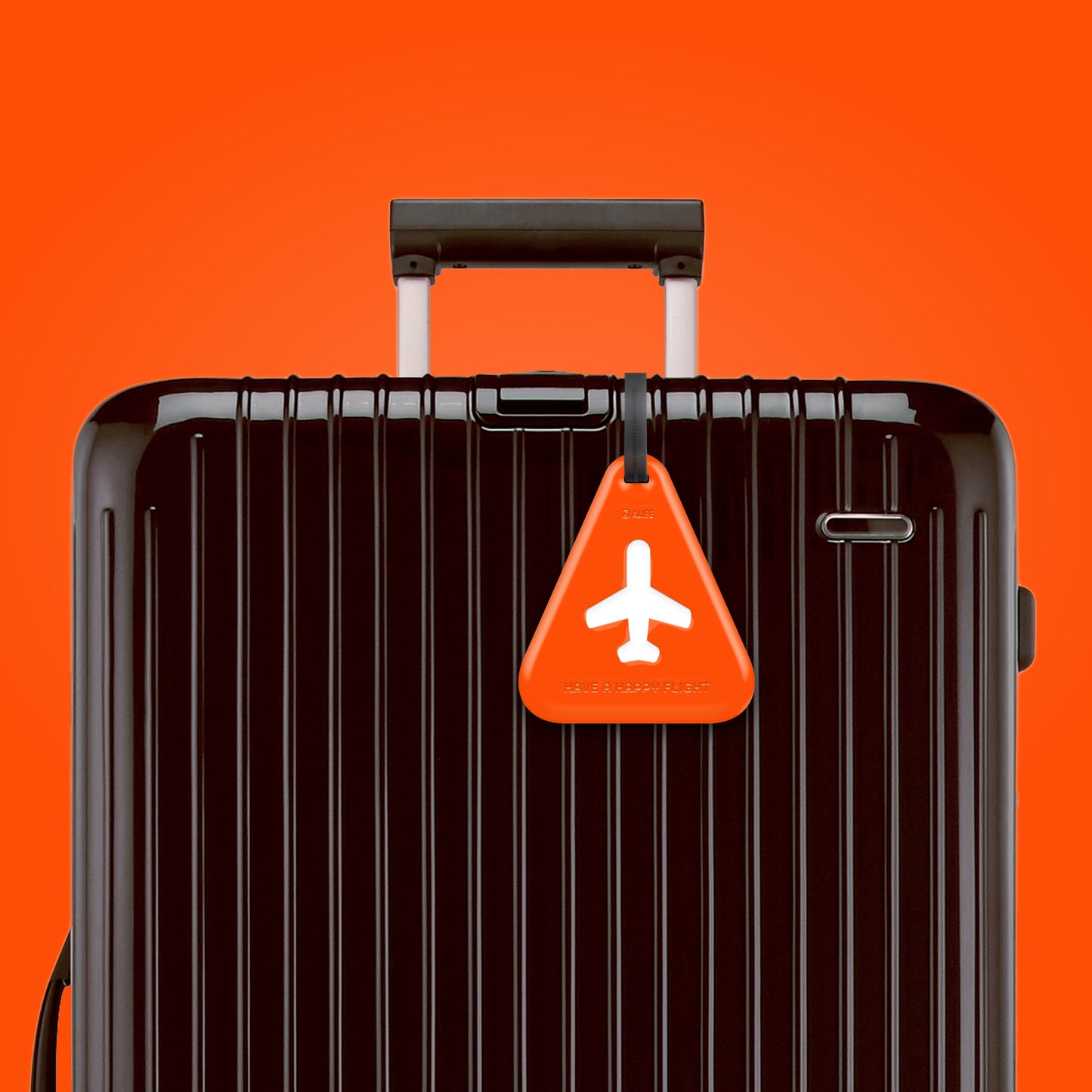 Triangle luggage label