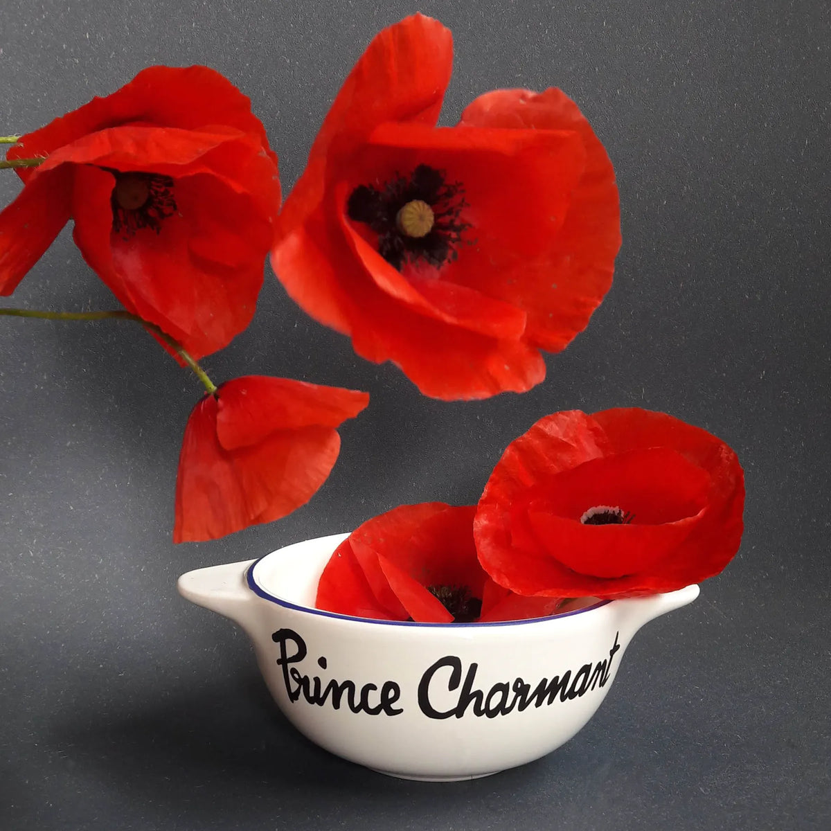 Prins Charmant Bretonse Kom 
