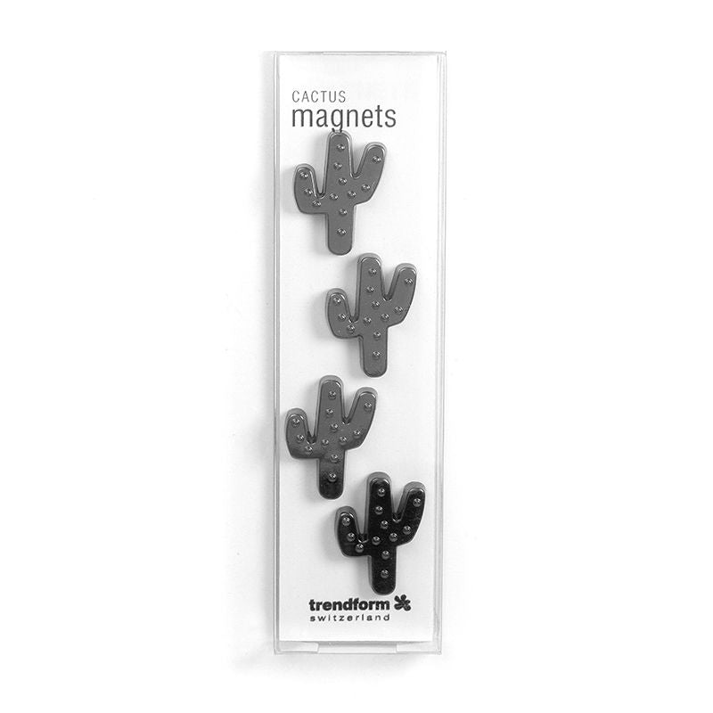 Imanes cactus gunmetal