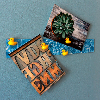 Duck and card magnets