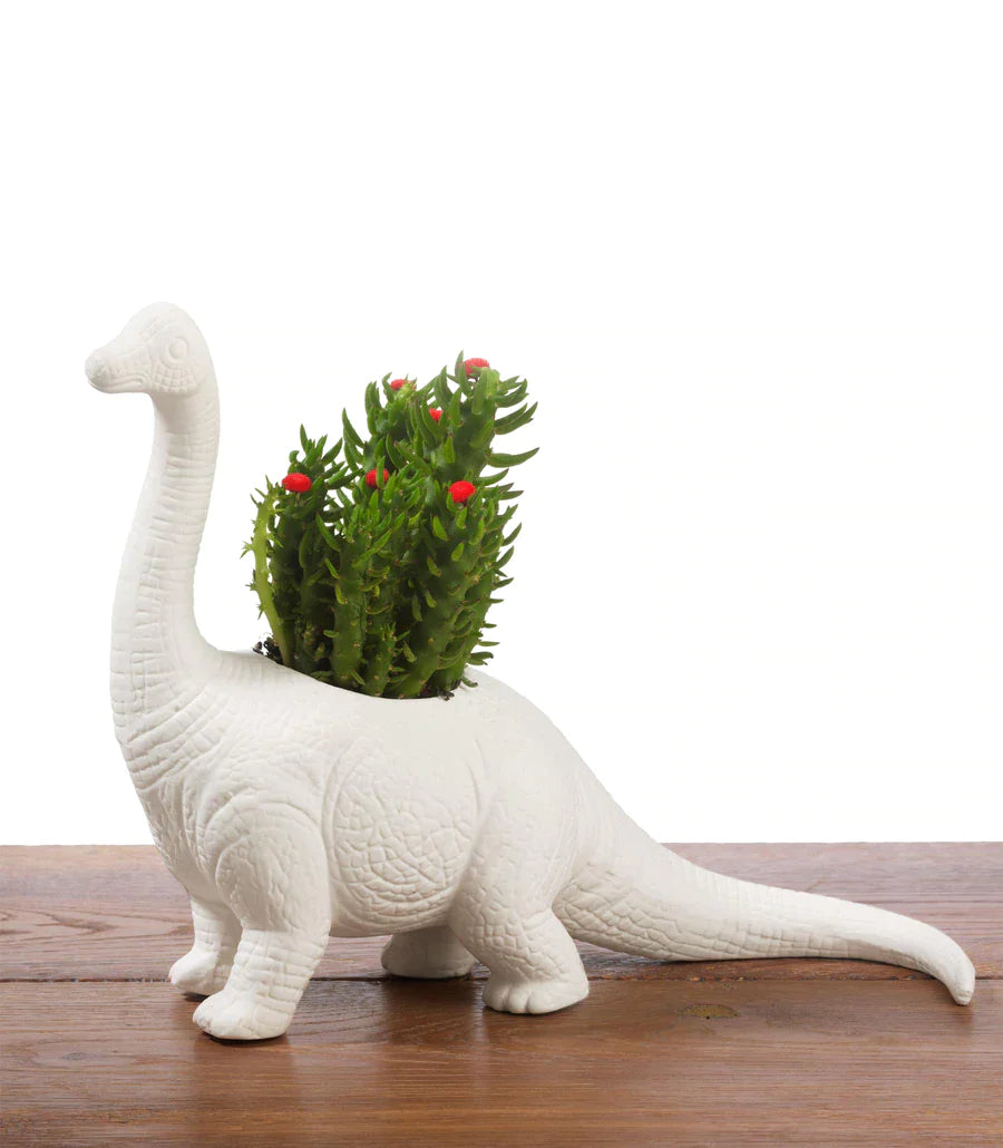 Flower pot dinosaur plantosaurus