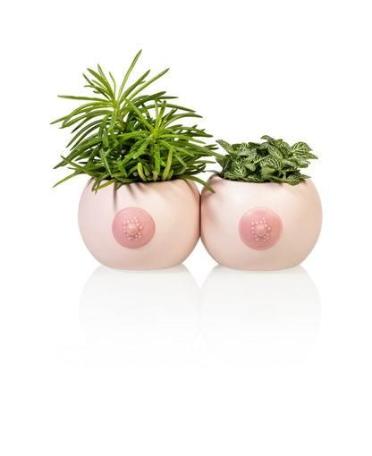 Boobs Flower Pot