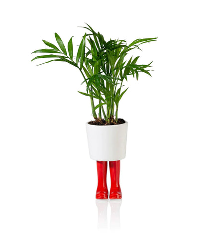 Botas de jarra de flores Wellington Red