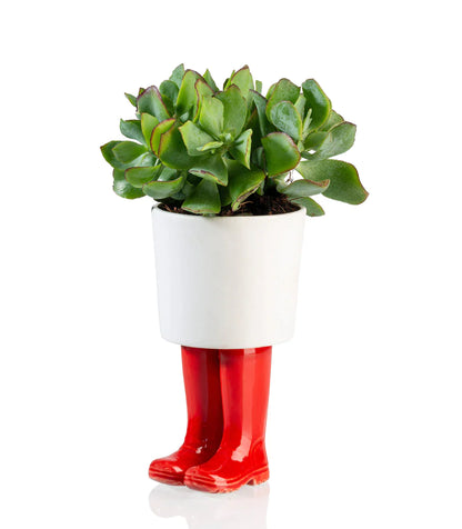 Botas de frasco de flores wellington rojo