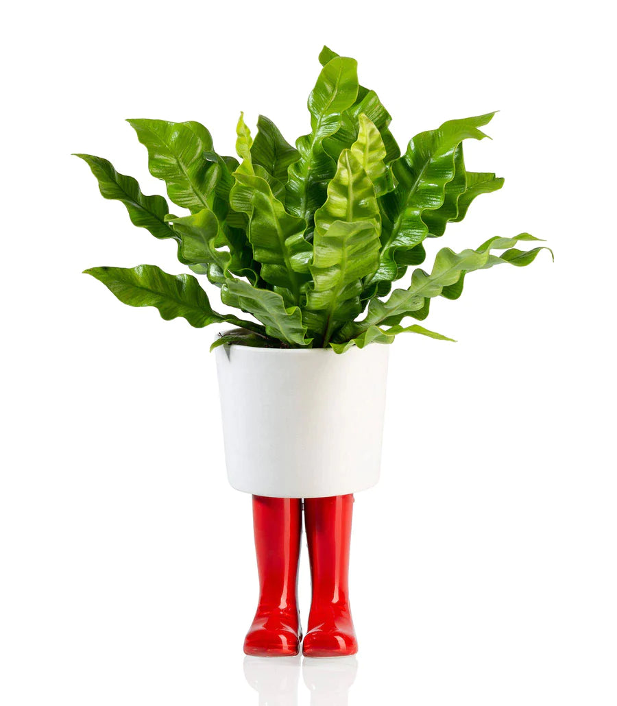 Pot de fleur Bottes Wellington Rouge