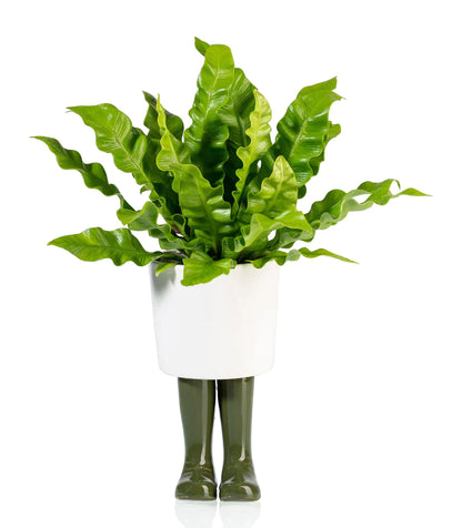 Pot de fleur Bottes Wellington Vert