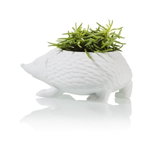 Hedgehog flower pot