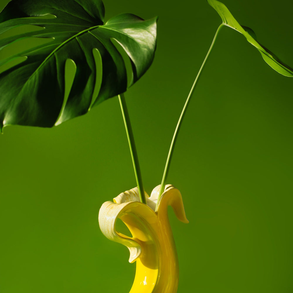 Florero Romance de Plátano