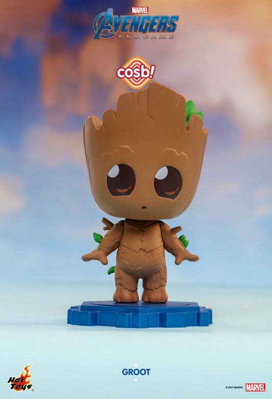 Groot-Cosbi 